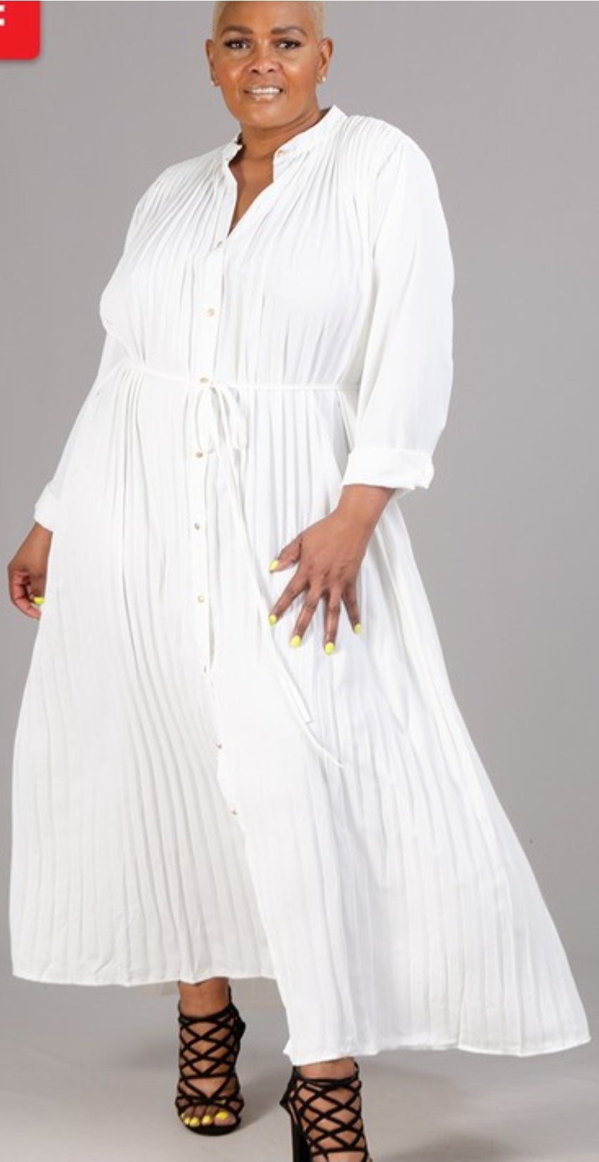 Pretty in Pleats Dress