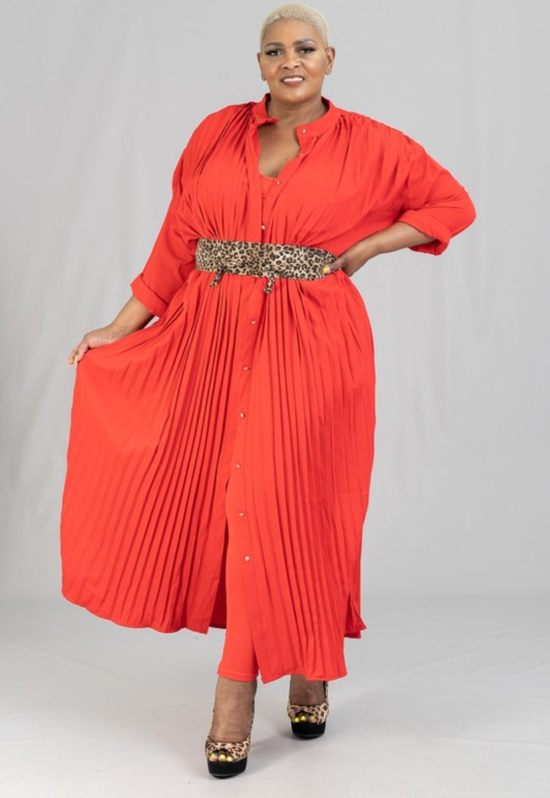 Pretty in Pleats Dress